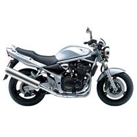 GSF1200 Bandit '00-05'